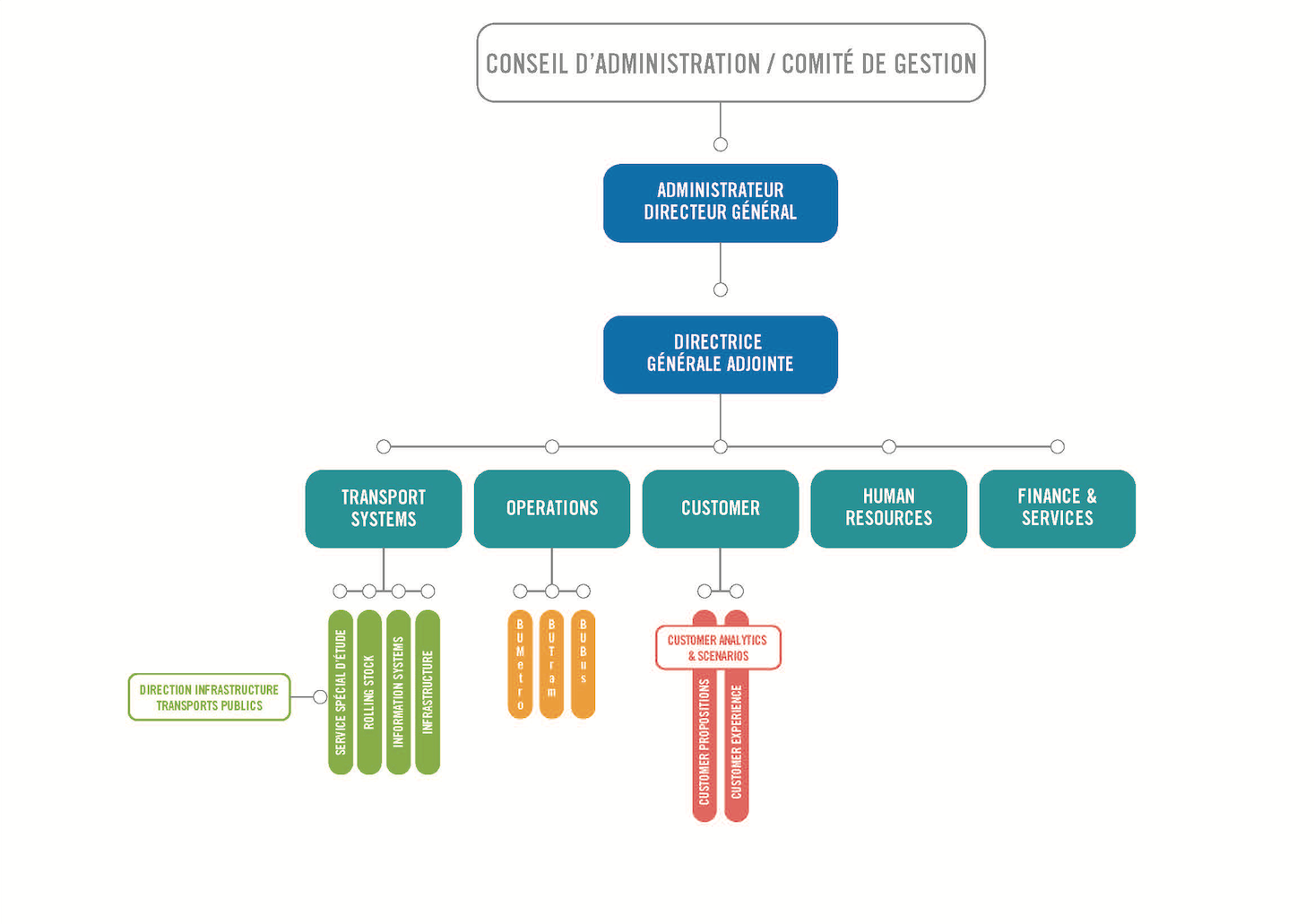organigramme